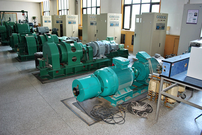和乐镇某热电厂使用我厂的YKK高压电机提供动力